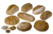 Frischbrot
